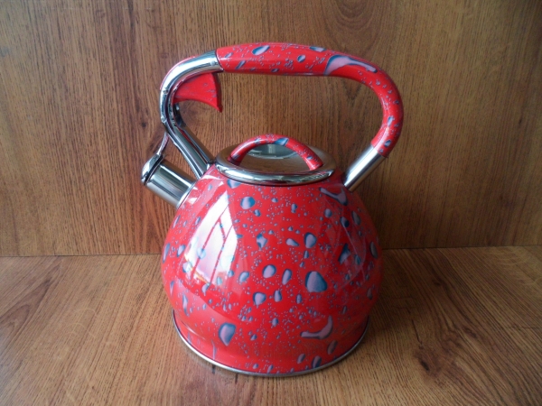 WR5037 Чайник метал. 3 л.